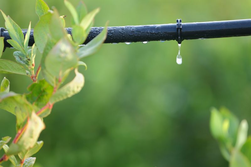 Drip Irrigation Repair