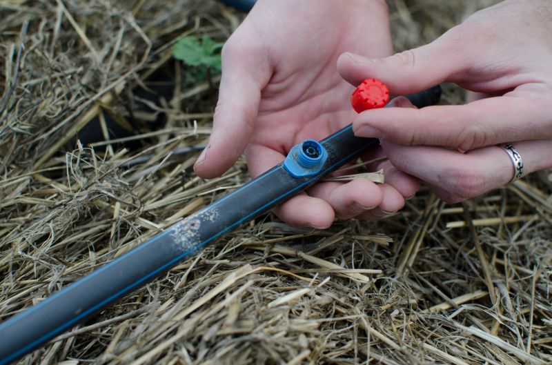 Drip Irrigation Service