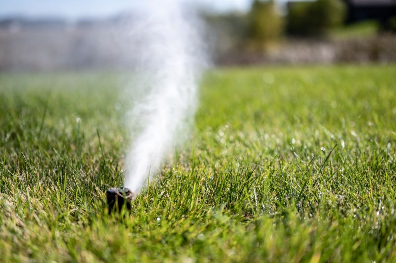 Sprinkler Winterizing Service detail