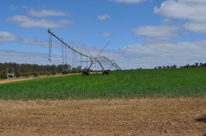 Plant Irrigation Installation