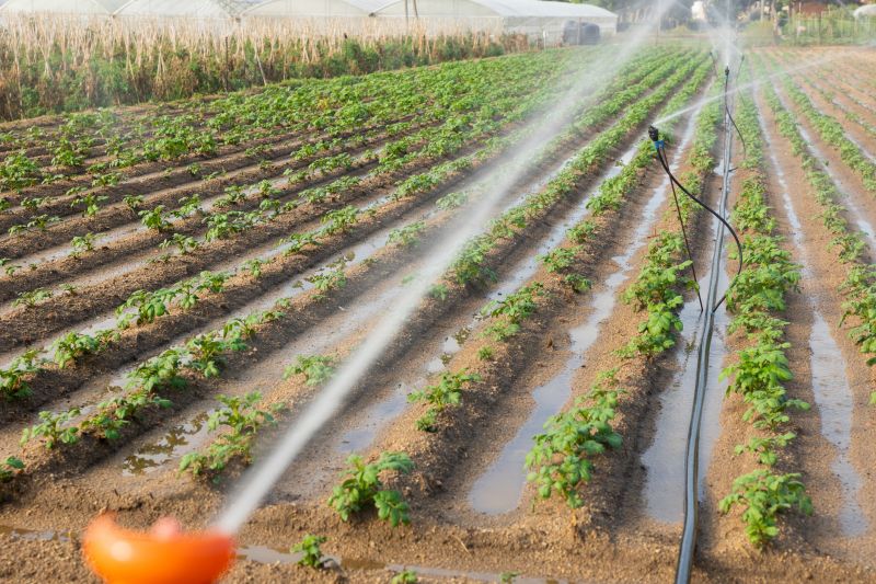 Plant Irrigation Service