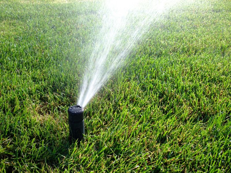 Sprinkler System Installation in Alexandria