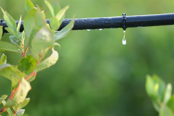 Irrigation Hose Repair Service
