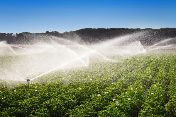 Irrigation System Winterization in Alexandria