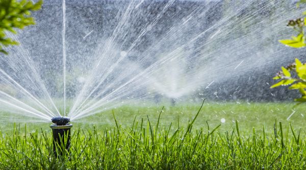 Sprinkler Installation Service in Alexandria