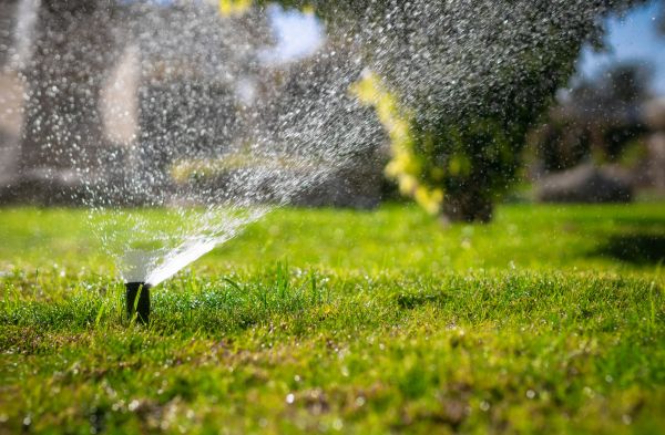 Drip Line Repair Service
