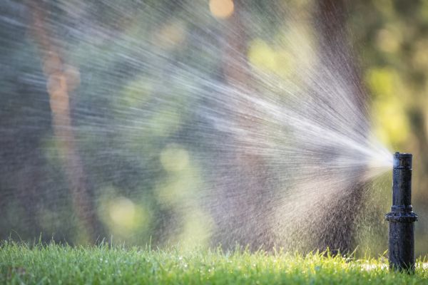 Sprinkler Pump Replacement in Alexandria