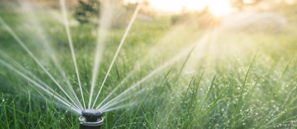 Sprinkler System Optimization Service