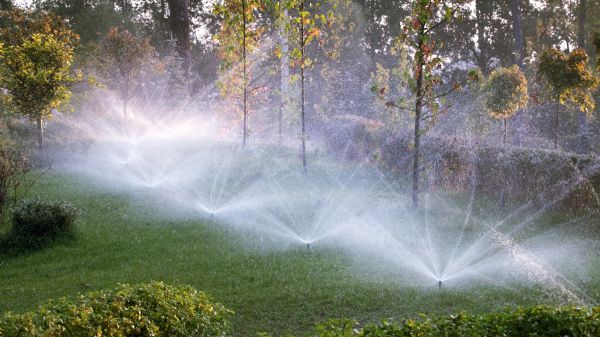 Lawn Irrigation Installation in Alexandria