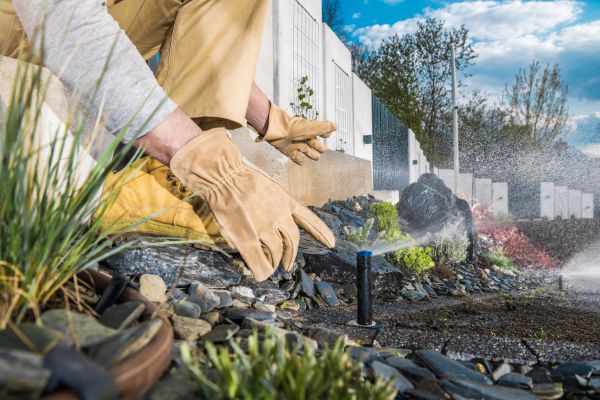 Irrigation Installation in Alexandria