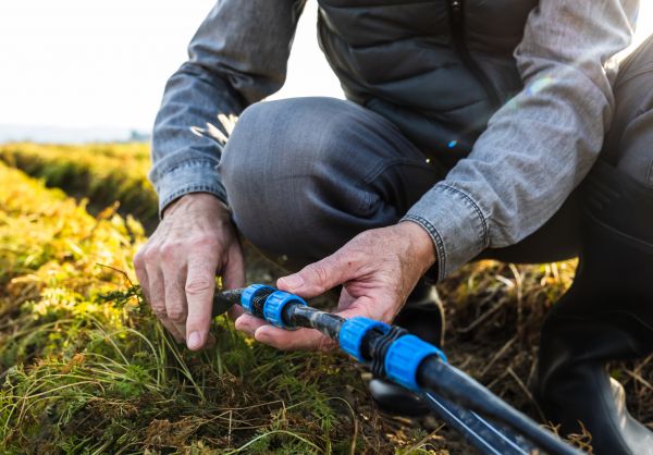 Irrigation Line Repair Service
