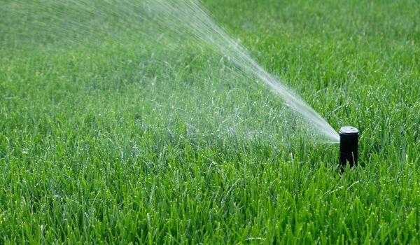 Water Sprinkler Installation in Alexandria