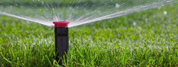 Sprinkler Head Replacement in Alexandria