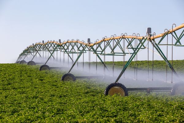 Crop Irrigation