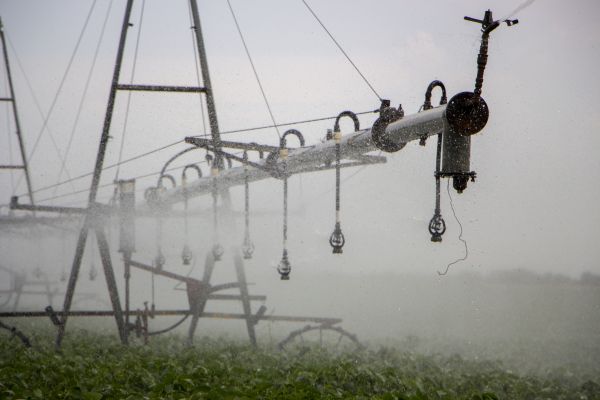Crop Irrigation Installation in Alexandria