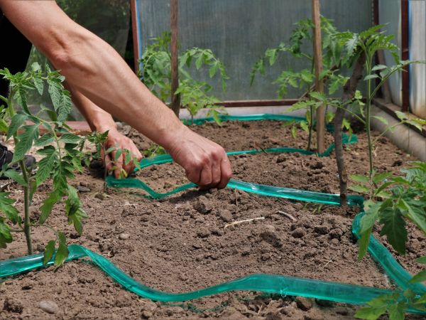 Greenhouse Irrigation Repair Service