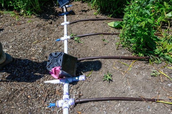 Underground Irrigation Service