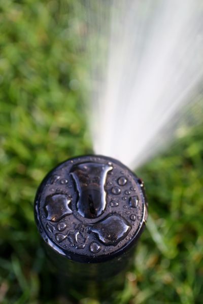 Sprinkler Head Placement