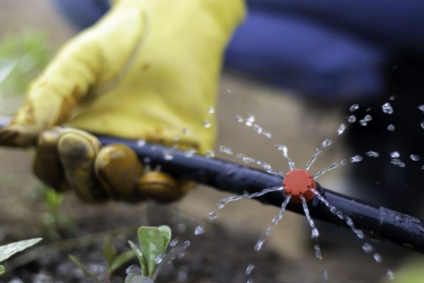 Irrigation Pipe Replacement in Alexandria
