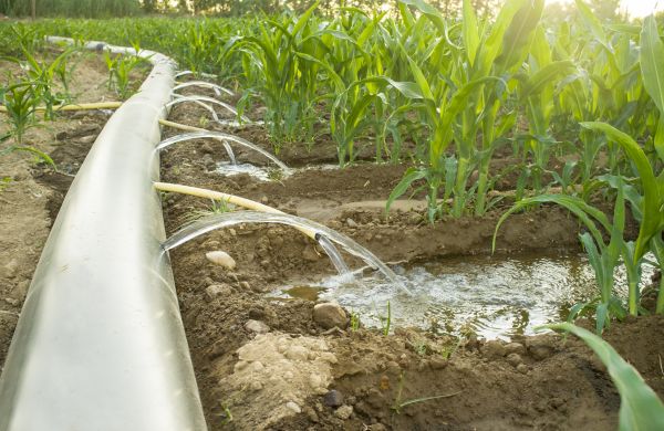 Irrigation Tubing Replacement